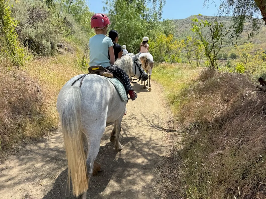 Family Riding Lesson for 4