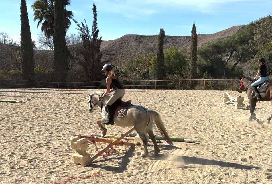JUMP INTRO Riding & Horsemanship - Jan-Mar 12wks