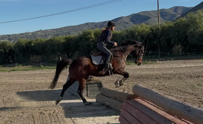 JUMP II Riding & Horsemanship - 10wks
