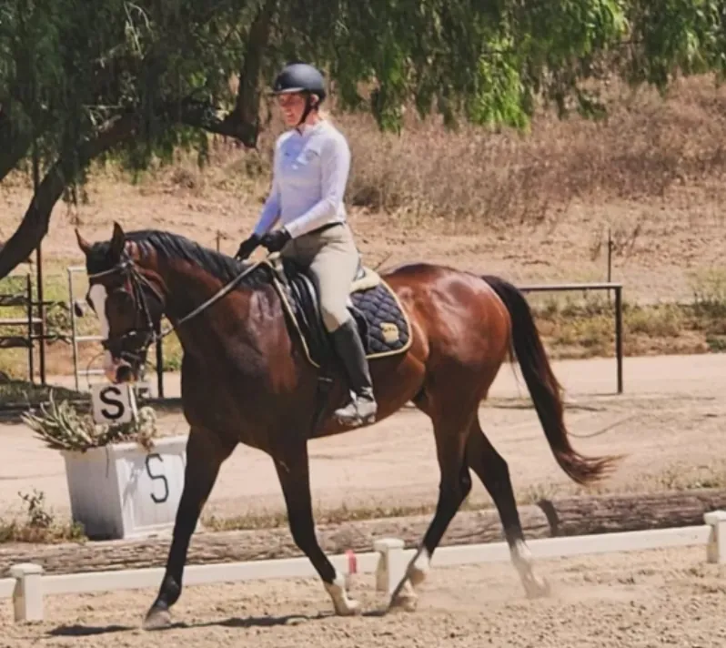 DRESSAGE Riding & Horsemanship - 11wks