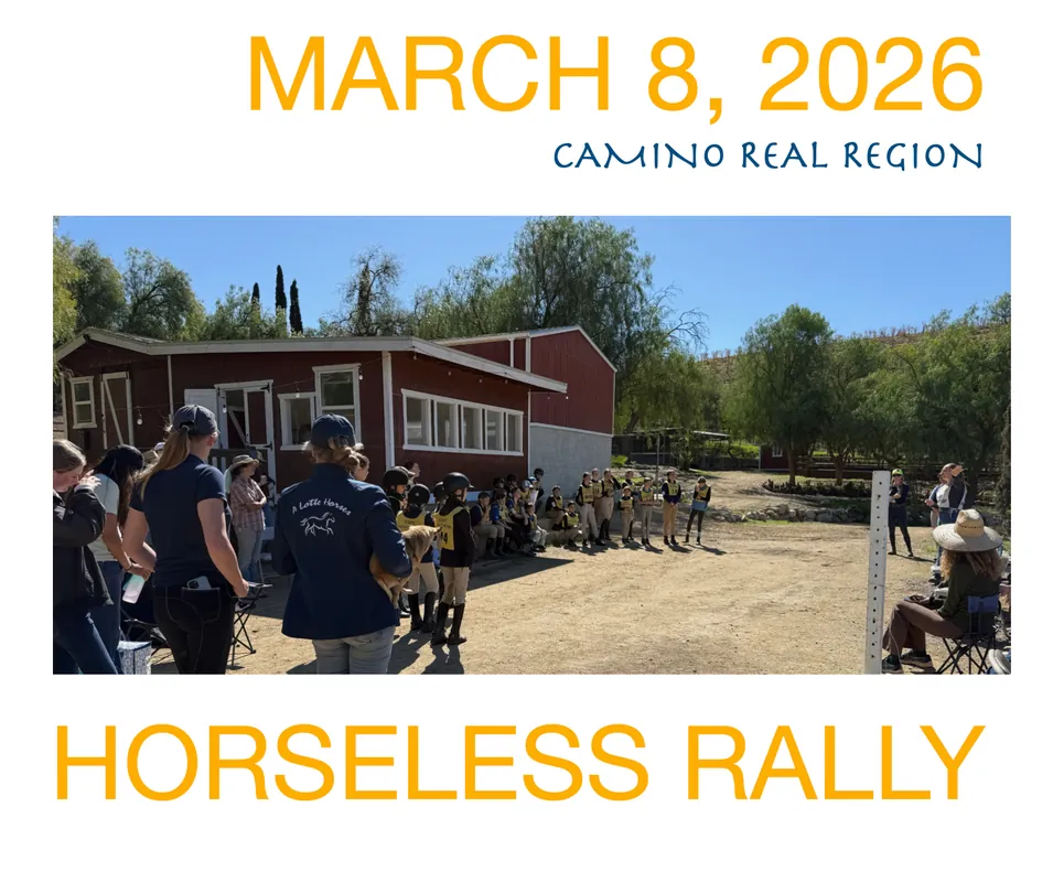 HORSELESS RALLY