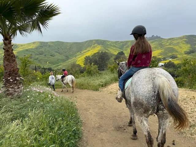 Summer Horse Camp: The Horse & the Four Elements