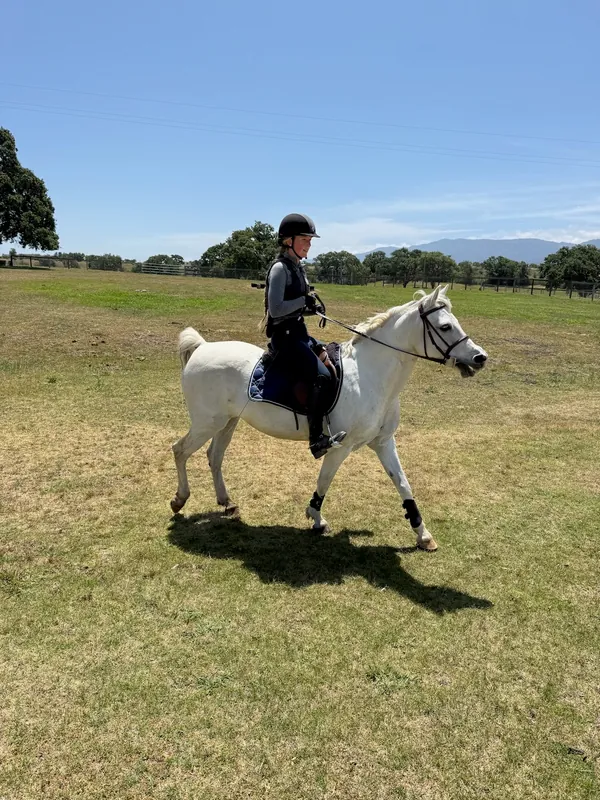 Horse Camp: The Inner Rider