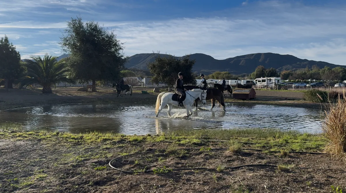 Three Day Eventing Camp