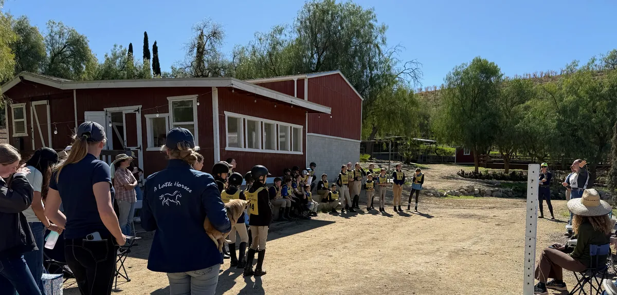 Horse Camp: Olympics