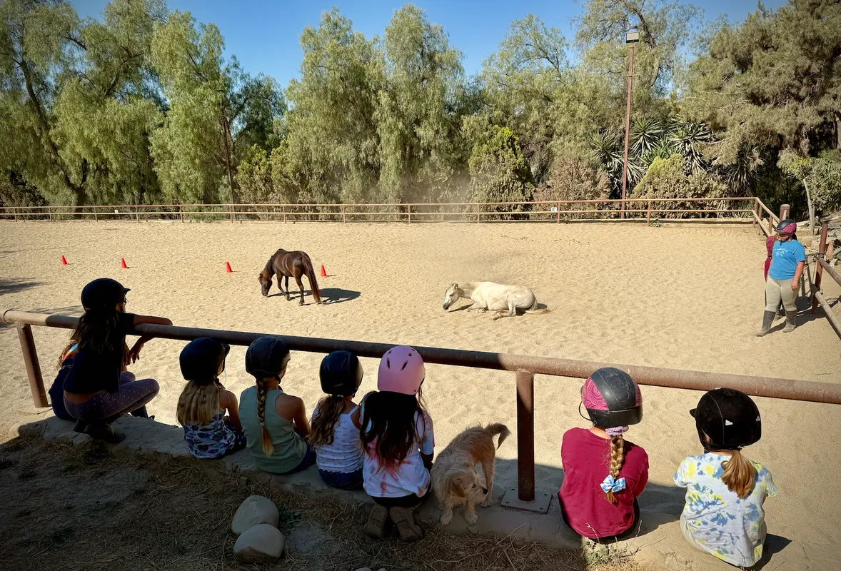 TUE WED THU FRI ONLY Spring Break Horse Camp: Awakening the Horse
