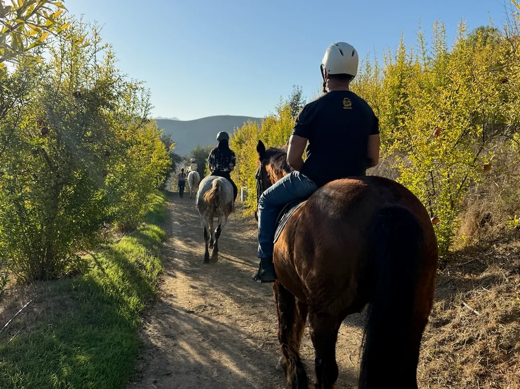 Private/Semi-Private Riding Lesson