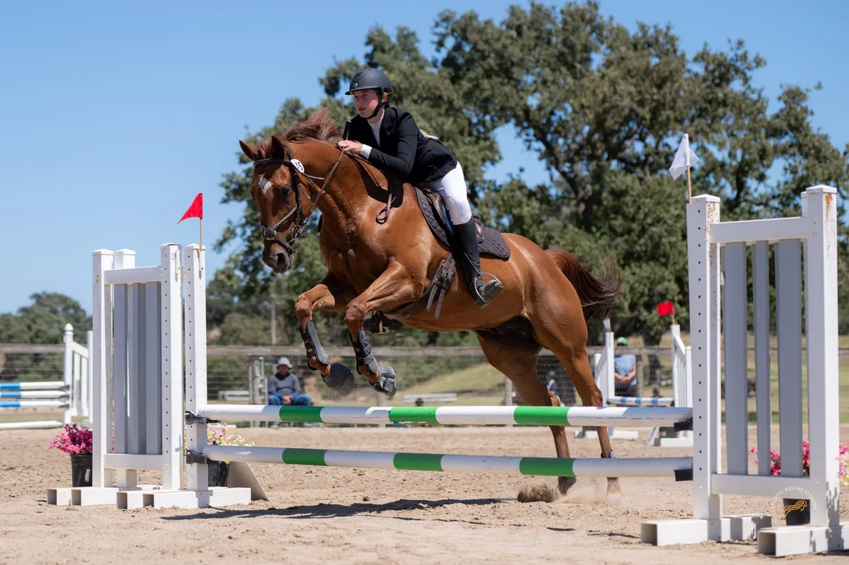 JUMP II Riding & Horsemanship - 15wks