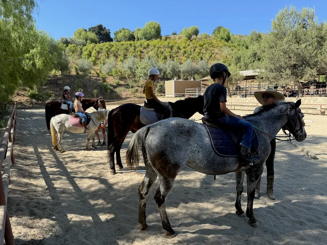 BEGINNER Riding & Horsemanship - 6wks