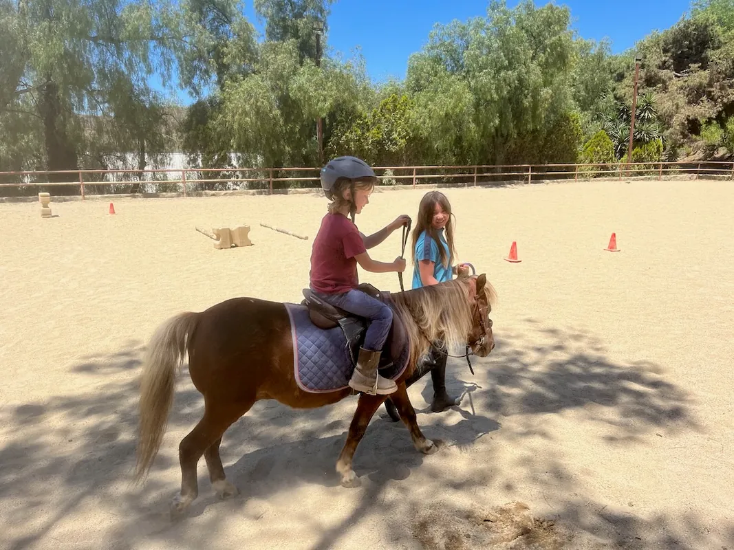 Homeschool Pony Riders - Oak Herd - 5x monthly workshops