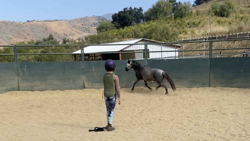 Jr Apprentice Program - TUE 10 weeks