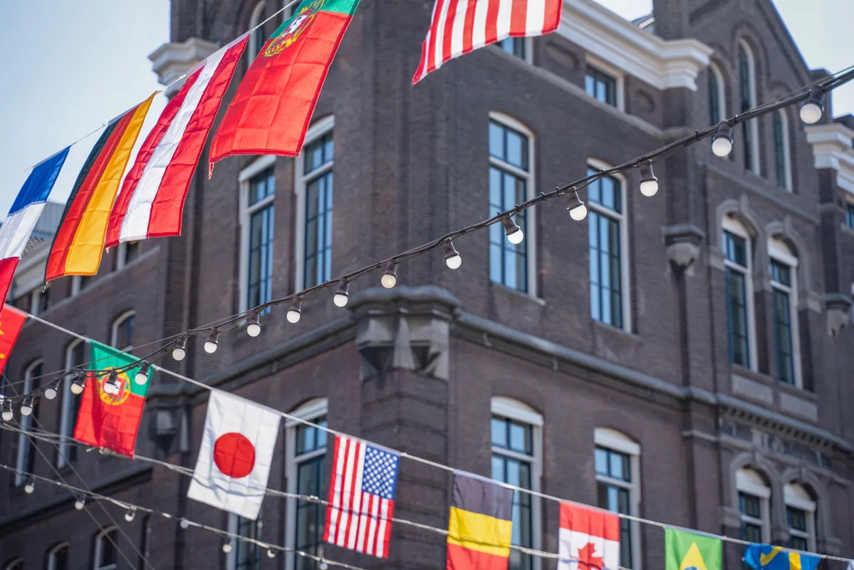 Study progress, internship, work and immigration insights for non-EU Students