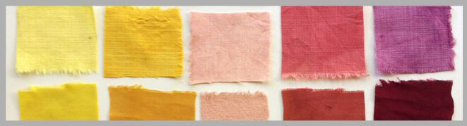 INTRODUCTION TO NATURAL DYEING
