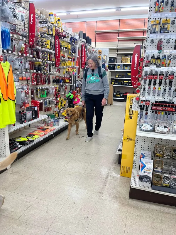 -Polite in Public- Indoor Pet Friendly Stores