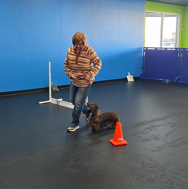 Intermediate/Advanced Rally Coursework#