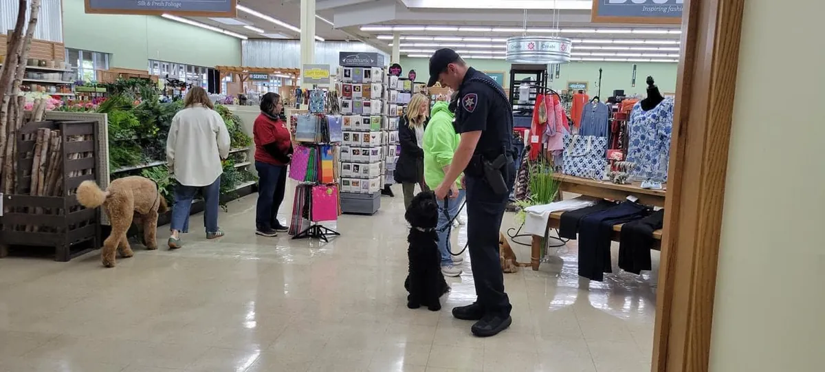 -AKC Canine Good Citizen Advanced -CGCA*