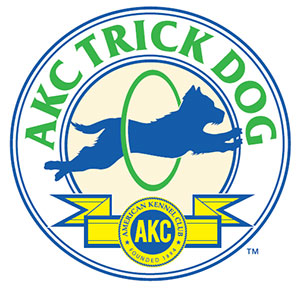 AKC Novice Tricks