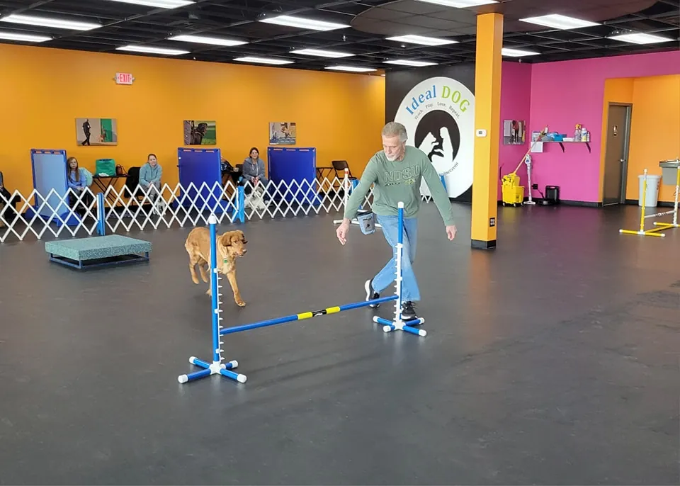 Agility Fun 1