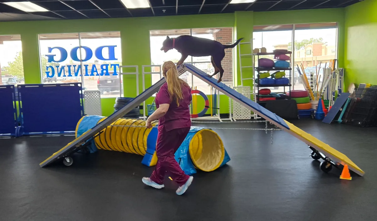 Agility Skill Development and Proofing#