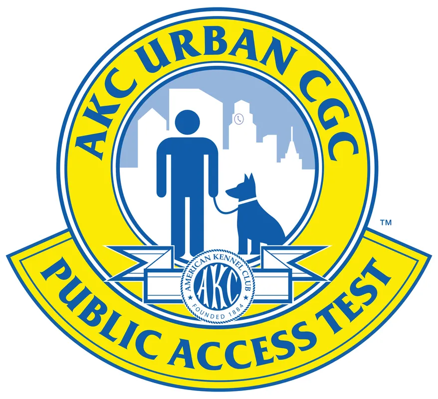 AKC Urban Canine Good Citizen -CGCU