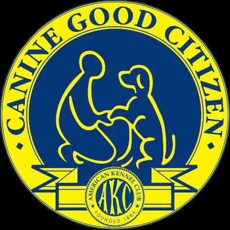 -AKC Canine Good Citizen class and testing program