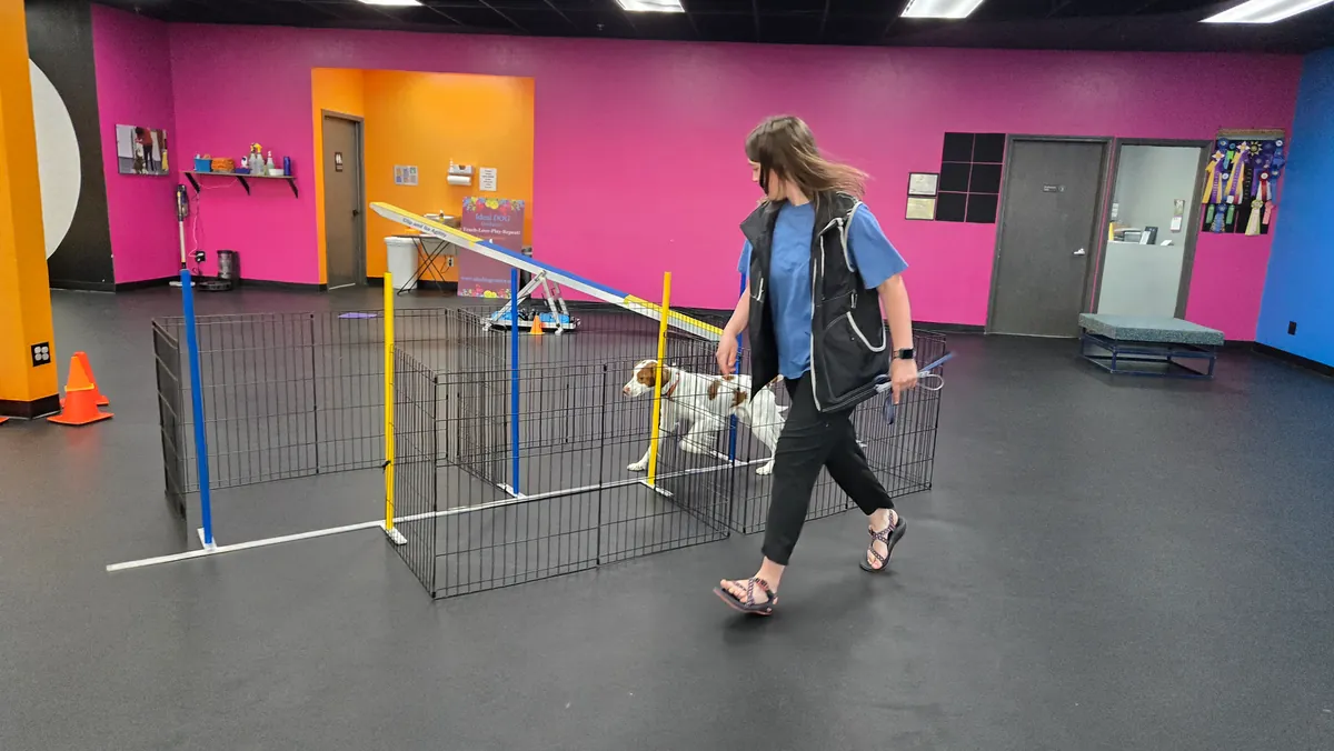 Agility Fun 4