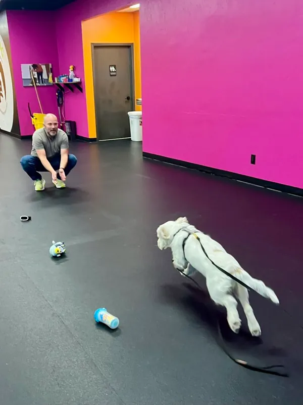 K9 Life Skills 2