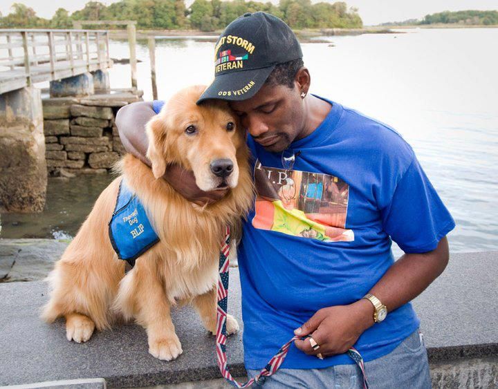 Therapy DOG Skills