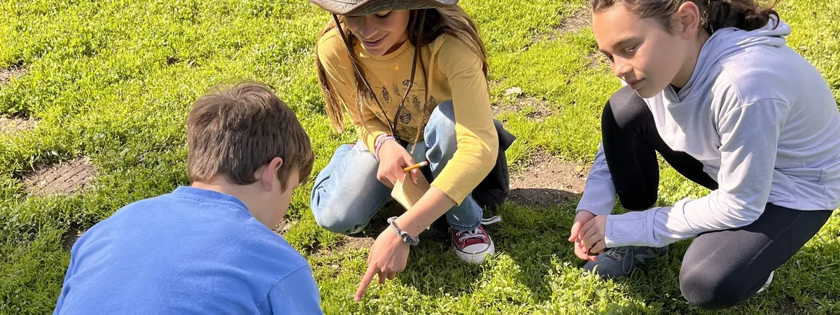 Wild Edibles Workshop