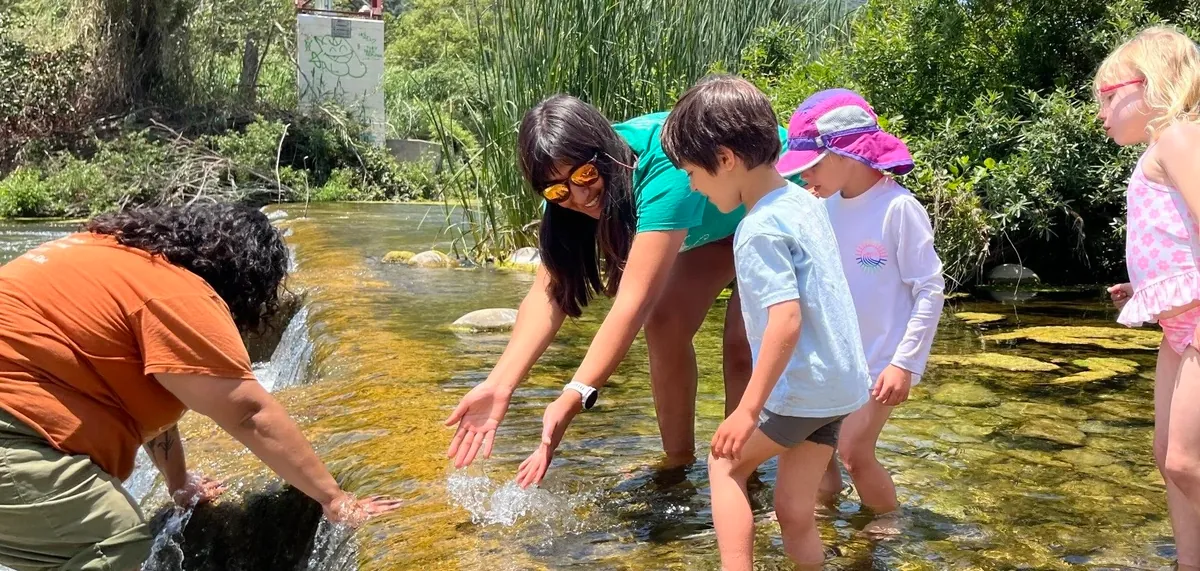 Tadpoles & Bumblebees