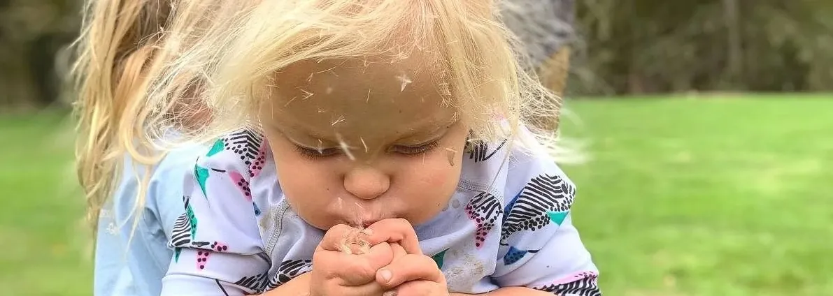 Dandelions & Dragons