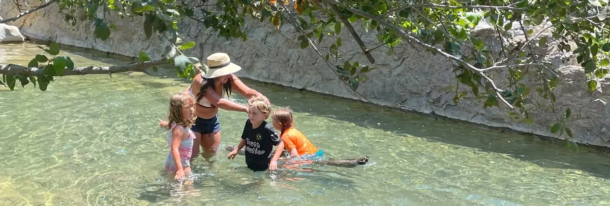 Bobcats & Butterflies