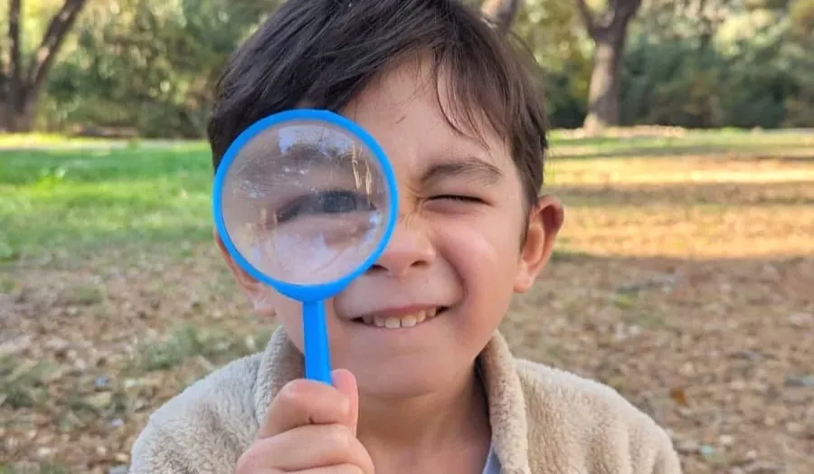 Dandelions & Dragons