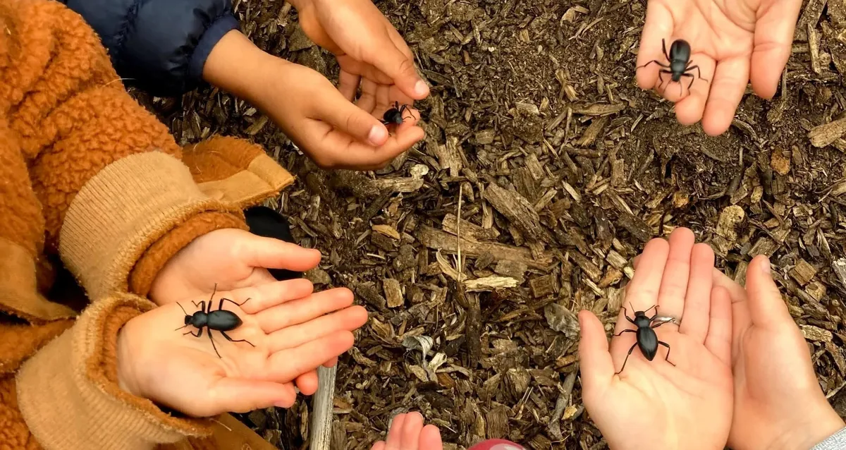 Tadpoles & Bumblebees