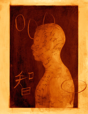 Acutonics Case Studies: Clinical Documentries (Online - 4 week course)