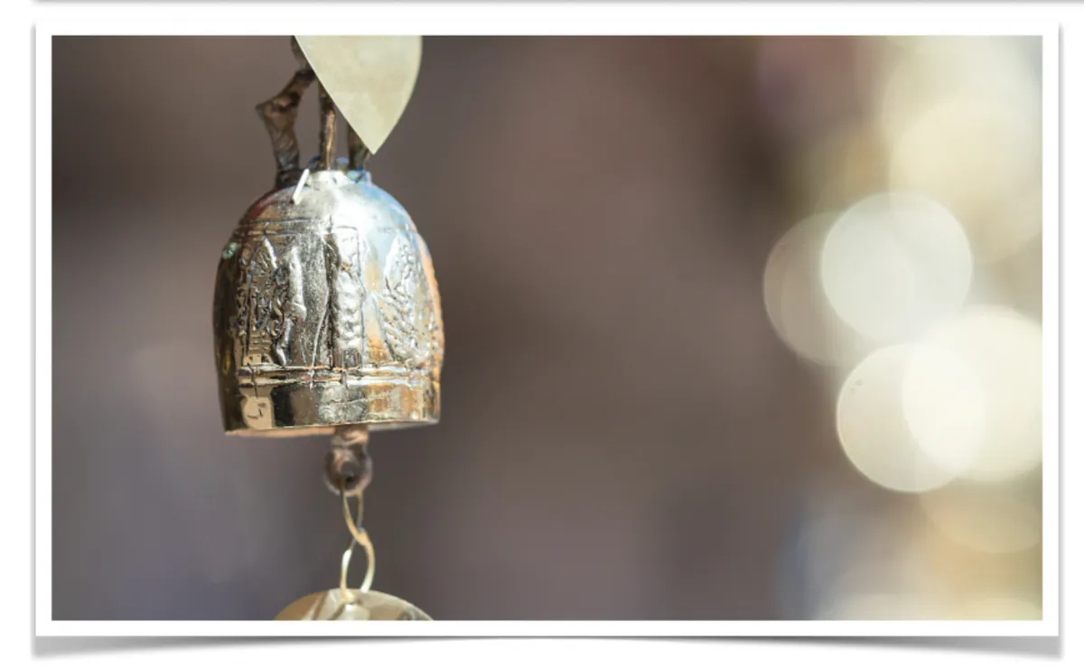 Autumn and The Element of Metal - Acutonics Online Study Group - 2 Clinical Hours Earned