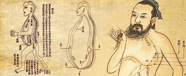 Eight Extraordinary Vessels - Acutonics Online Study Group - EARN 3 CLINICAL HOURS - RECORDING ONLY