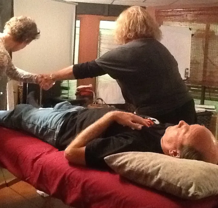 Eight Extraordinary Vessels - Acutonics Online Study Group - EARN 3 CLINICAL HOURS - RECORDING ONLY