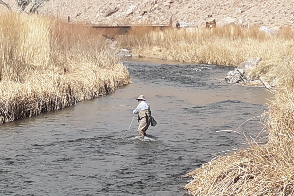 Spring Lower Owens River Outing