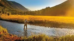 Introduction to Fly Fishing