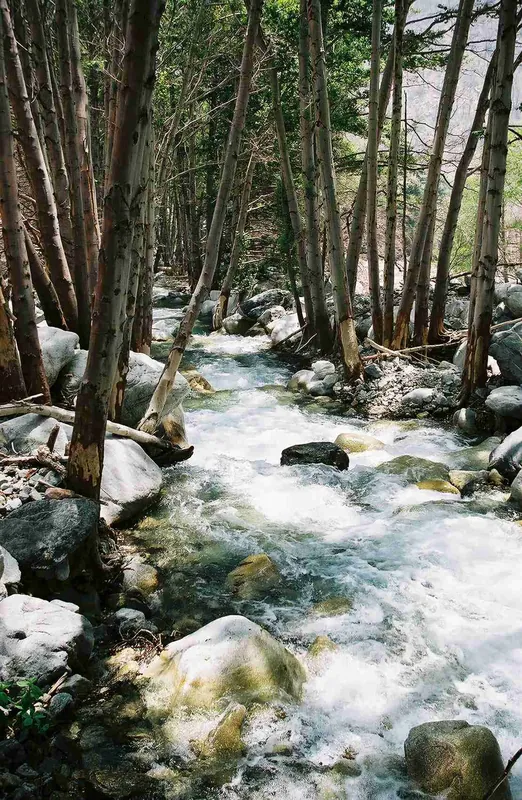 Lytle Creek with Danny Banales