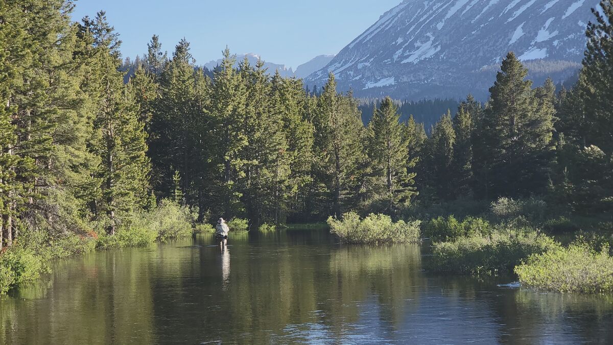Introduction to Fly Fishing