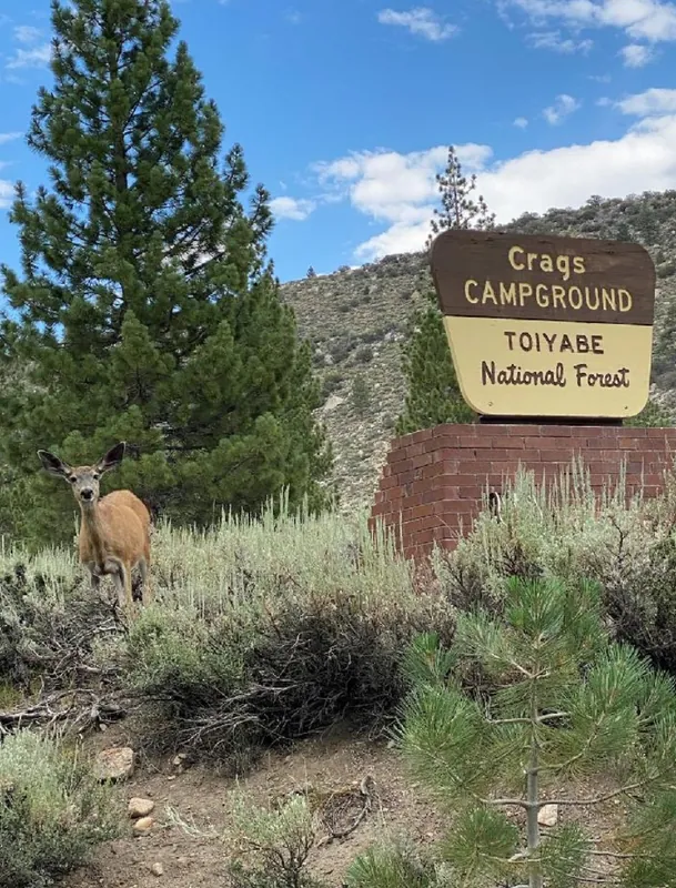 Upper Eastern Sierra - June 21-25