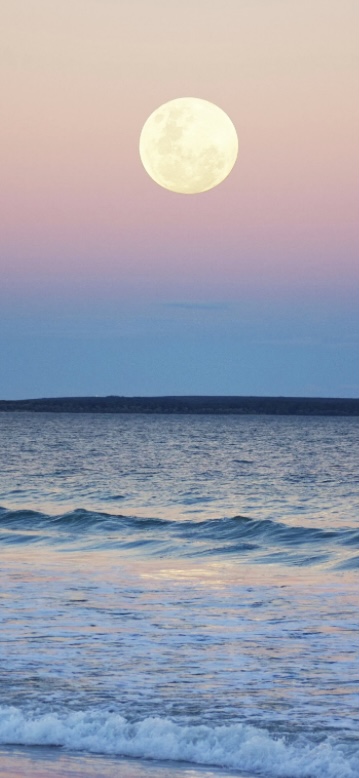 February Full Moon Meditation Healing with Sound Therapy  - all props supplied for your comfort