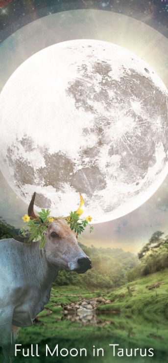 TAURUS ♉️ FULL MOON SOUND SESSION -BREATH, FREQUENCY & SOUND HEALING with GONG THERAPY - QUARTZ CRYSTAL SINGING BOWLS, PLANETARY GONGS and other beautiful healing instruments REST and RESTORE with Qualified Therapist 🤍✨🎶