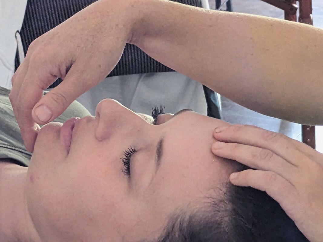 Integrating CST into your Massage Therapy Practice - VIDEO/PDF