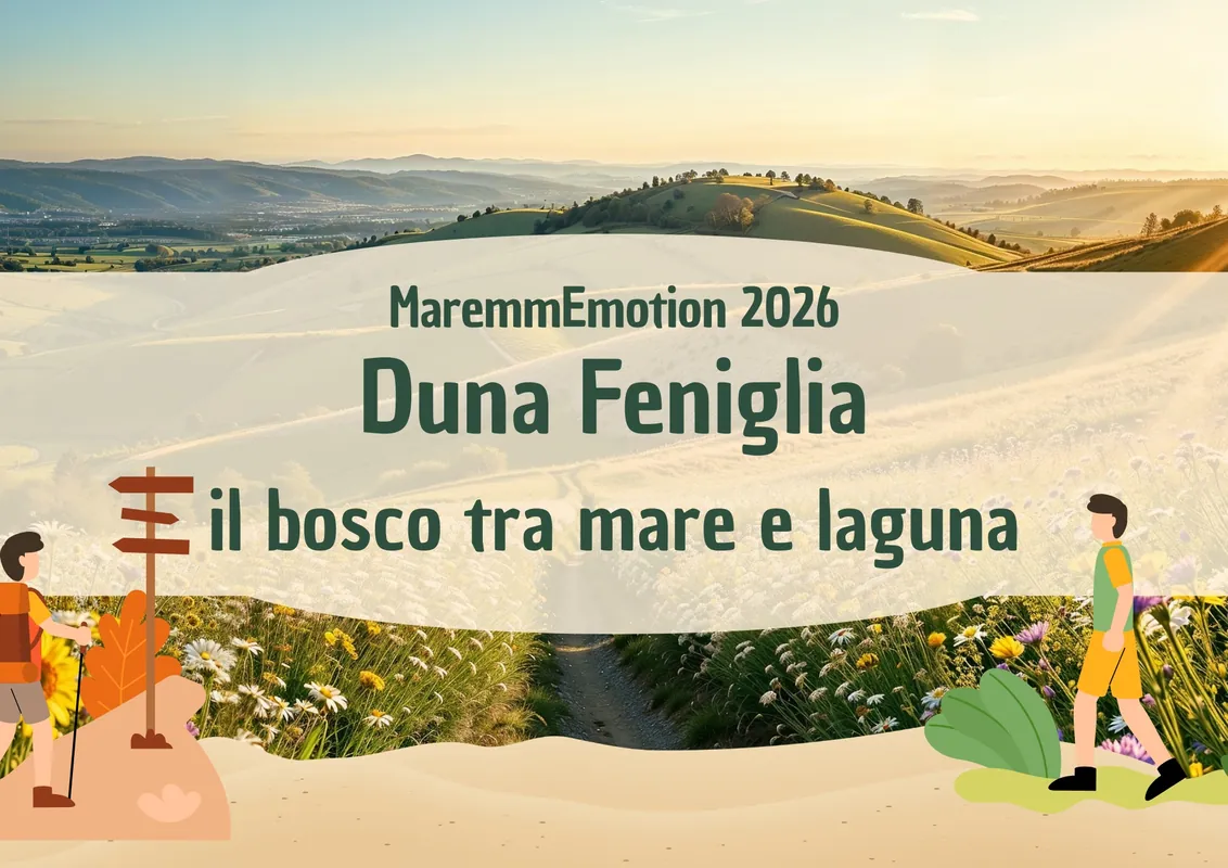 Duna Feniglia: il bosco tra mare e laguna