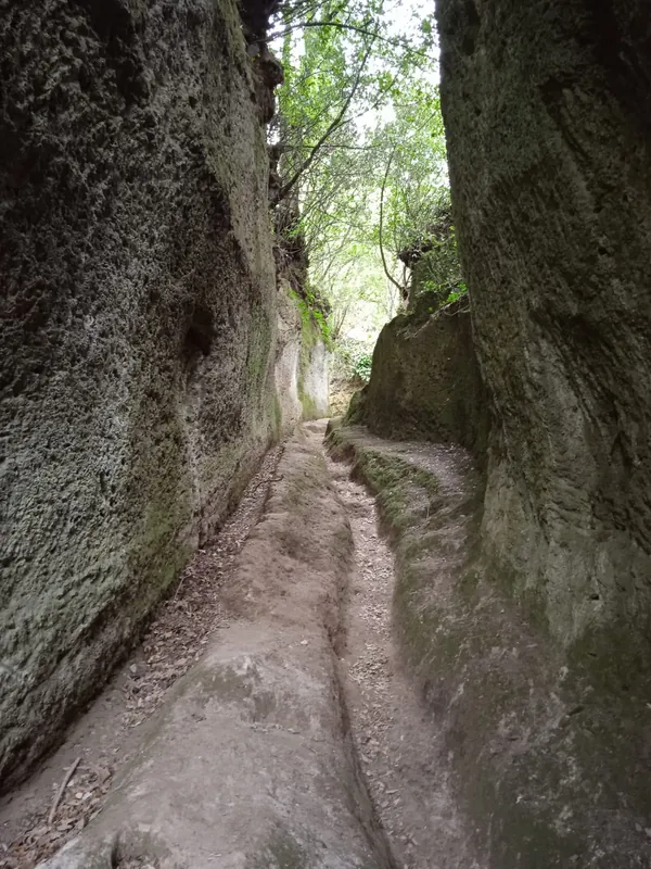 Anello tra tufo, boschi e ruscelli. Escursione nelle Vie Cave di Pitigliano