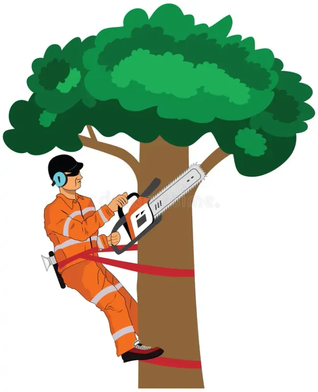 Tree Trimming Safety Training
