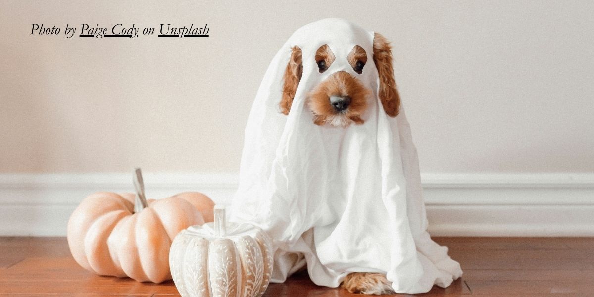 FREE Halloween Costume Clinic